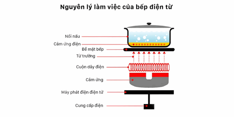 Khám Phá Nguyên Lý Hoạt Động Của Bếp Từ Và Những Lưu Ý Khi Sử Dụng - 2 Khám Phá Nguyên Lý Hoạt Động Của Bếp Từ Và Những Lưu Ý Khi Sử Dụng
