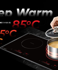 Bếp từ Eurosun EU-T769Pro