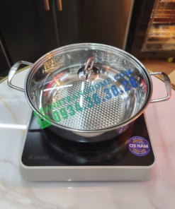 Bếp từ đơn Spelier SP-09T - 19