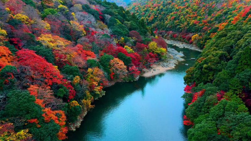 GOOGLE TIVI MINI LED SONY 4K 55 INCH K-55XR50 - 75 GOOGLE TIVI MINI LED SONY 4K 55 INCH K-55XR50