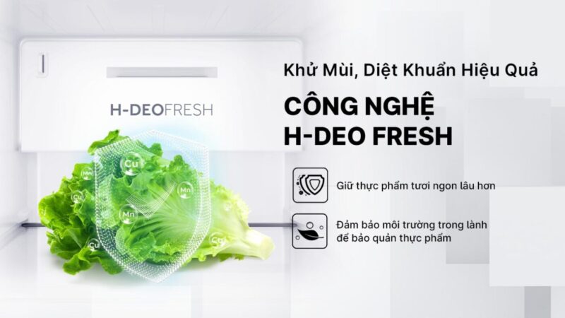 TỦ LẠNH AQUA INVERTER 569 LÍT AQR-S633XA(WSL)