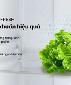 TỦ LẠNH AQUA INVERTER 469 LÍT AQR-M532XA(CBC) - 44 TỦ LẠNH AQUA INVERTER 469 LÍT AQR-M532XA(CBC) - 43