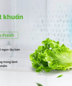 TỦ LẠNH AQUA INVERTER 469 LÍT AQR-M560XA(GL) - 51