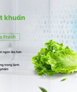 TỦ LẠNH AQUA INVERTER 469 LÍT AQR-M536XA(WGB) - 51