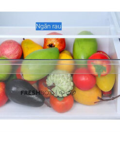 TỦ LẠNH AQUA INVERTER 236 LÍT AQR-T260FA(FB) - 41