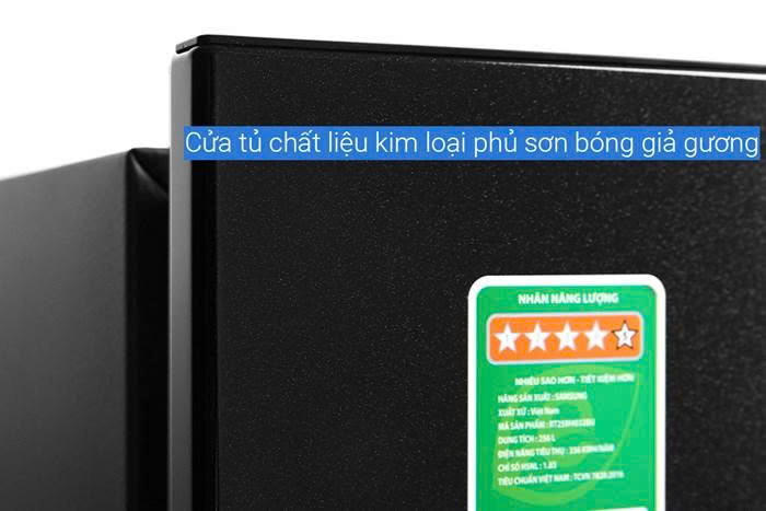 Tủ lạnh Samsung Inverter 256 lít RT25M4032BU/SV - 11 Tủ lạnh Samsung Inverter 256 lít RT25M4032BU/SV