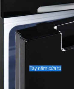 Tủ lạnh Samsung Inverter 256 lít RT25M4032BU/SV - 21 Tủ lạnh Samsung Inverter 256 lít RT25M4032BU/SV