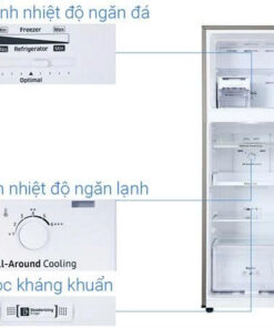 Tủ lạnh Samsung Inverter 256 lít RT25M4032BU/SV - 20 Tủ lạnh Samsung Inverter 256 lít RT25M4032BU/SV