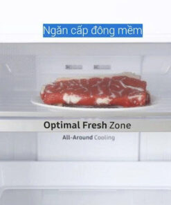 Tủ lạnh Samsung Inverter 256 lít RT25M4032BU/SV - 17 Tủ lạnh Samsung Inverter 256 lít RT25M4032BU/SV