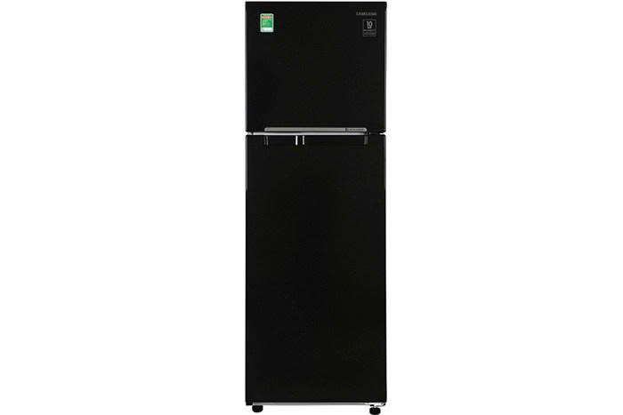 Tủ lạnh Samsung Inverter 256 lít RT25M4032BU/SV - 1 Tủ lạnh Samsung Inverter 256 lít RT25M4032BU/SV
