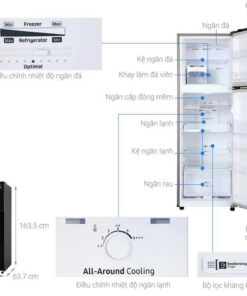 Tủ lạnh Samsung Inverter 256 lít RT25M4032BU/SV - 13 Tủ lạnh Samsung Inverter 256 lít RT25M4032BU/SV