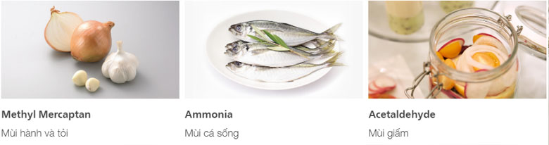 TỦ LẠNH HITACHI INVERTER 339 LÍT R-FVX450PGV9(GBK)