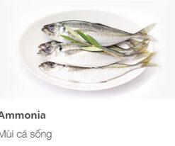 TỦ LẠNH HITACHI INVERTER 366 LÍT R-FVX480PGV9(GBK) - 69