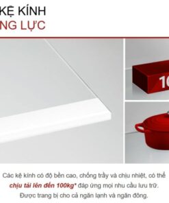 TỦ LẠNH HITACHI INVERTER 409 LÍT HRTN6443SAMGWVN - 81