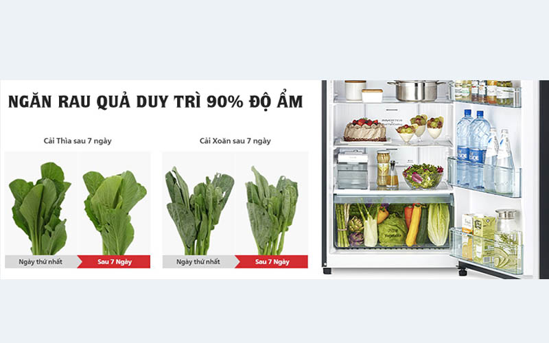 TỦ LẠNH HITACHI INVERTER 390 LÍT R-FVY510PGV0(GBK)