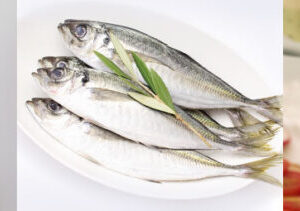 TỦ LẠNH HITACHI INVERTER 569 LÍT R-WB640PGV1(GMG) - 60 TỦ LẠNH HITACHI INVERTER 569 LÍT R-WB640PGV1(GMG)