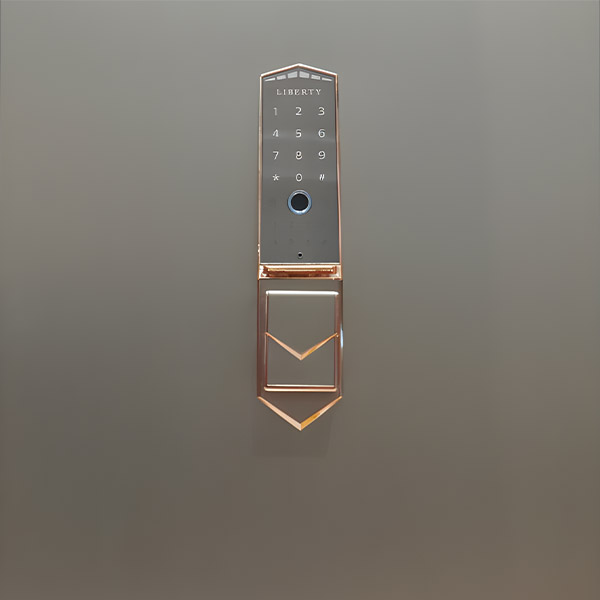 KÉT SẮT LIBERTY PREMIUM LB79S5II - 12 KÉT SẮT LIBERTY PREMIUM LB79S5II - 11