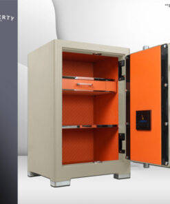 KÉT SẮT LIBERTY LB79PRO VÀNG CÁT - 17