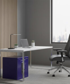 KÉT SẮT LIBERTY LB58PRO SPECIAL EDITION XANH TÍM - 33